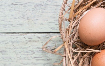 Why you should carry on eating eggs